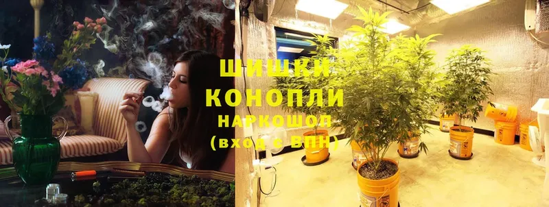 Бошки марихуана THC 21%  Кириллов 